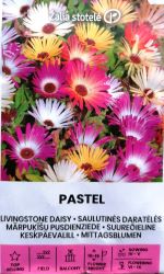 Livingstone Daisy Pastel Mix Seeds